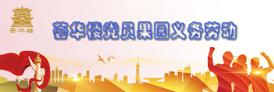 黨員干部果園義務勞動，共建薈華樓“員工之家”