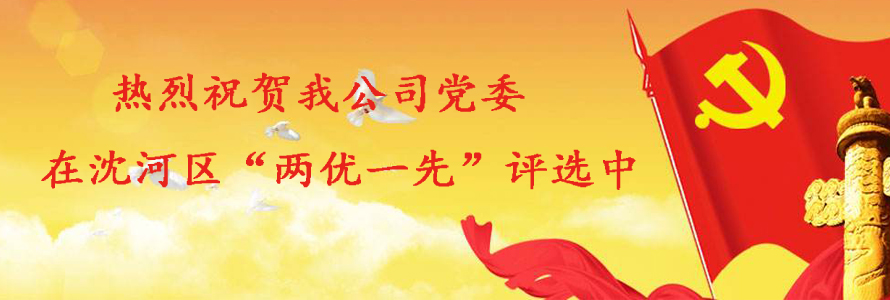 熱烈祝賀我公司黨委在沈河區(qū)“兩優(yōu)一先”評(píng)選中 榮獲“優(yōu)秀黨組織”榮譽(yù)稱號(hào)