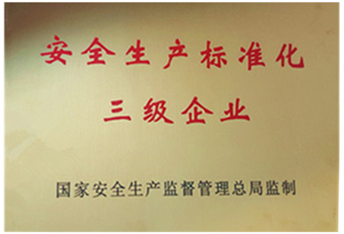 輝煌成就